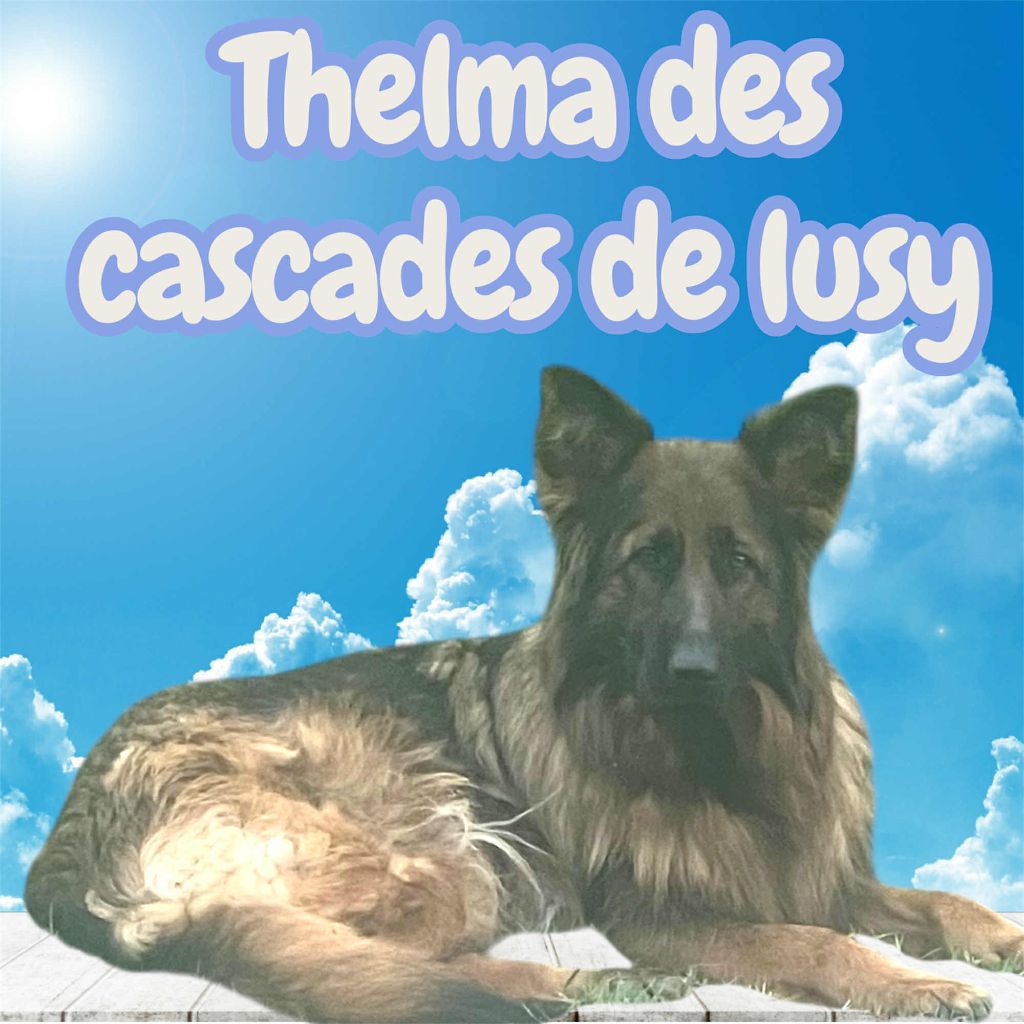 Thelma Du Marais Des Loups De Givre